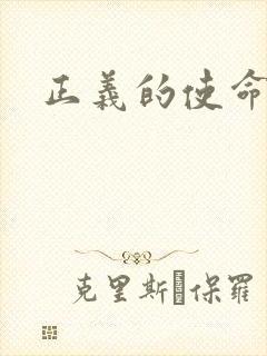 正义的使命小说