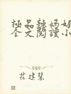 极品辣妈好v5全文阅读小说