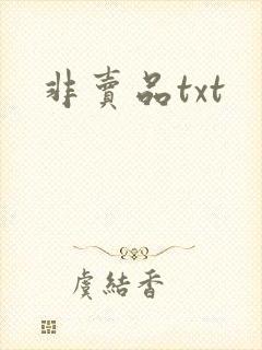 非卖品txt
