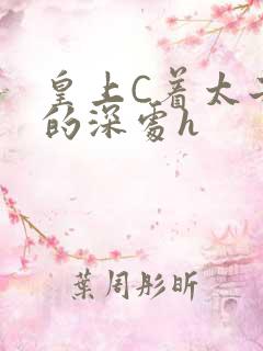 皇上C着太子妃的深处h