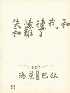 失忆后我和王爷和离了