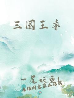 三国王睿