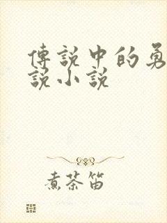 传说中的勇者传说小说