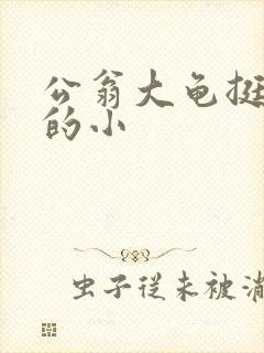 公翁大龟挺进我的小