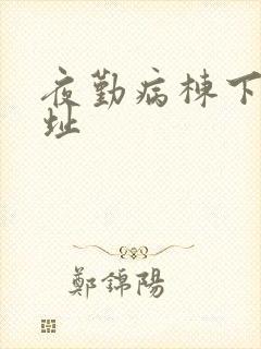 夜勤病栋下载地址