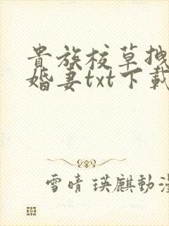 贵族校草拽拽未婚妻txt下载