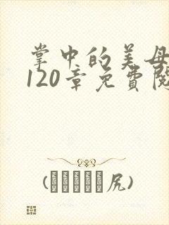 掌中的美母版主120章免费阅读