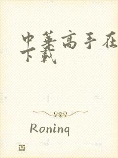 中华高手在异世下载