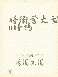 暗卫营大型hpn暗鸦