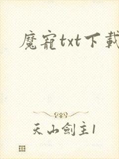 魔宠txt下载