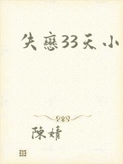 失恋33天小说