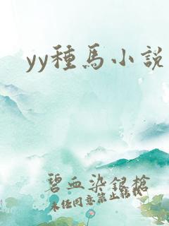 yy种马小说