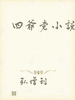 四爷党小说