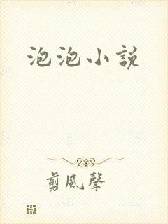 泡泡小说