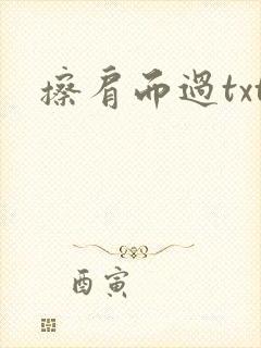 擦肩而过txt
