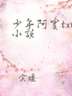 少年阿宾txt小说