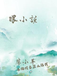 眼小说