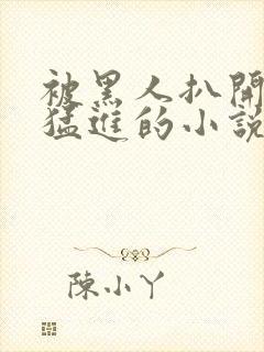 被黑人扒开双腿猛进的小说