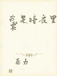 我是暗夜里的罂粟