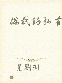 总裁的私有宝贝