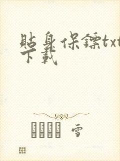 贴身保镖txt下载