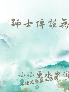 师士传说无弹窗