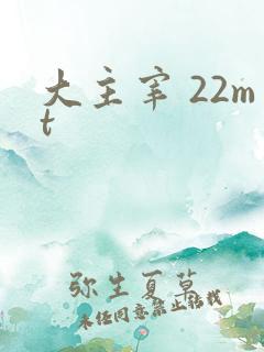 大主宰 22mt