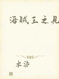 海贼王之见证者