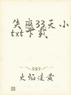 失恋33天小说txt下载