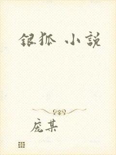 银狐 小说