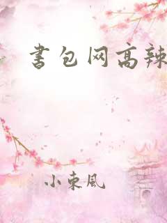 书包网高辣文