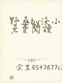 野桑by浅小说免费阅读