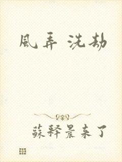 风弄 洗劫