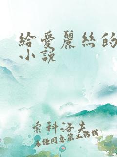 给爱丽丝的奇迹小说