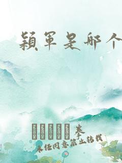 颖军是哪个军阀