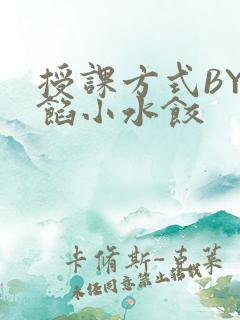 授课方式BY肉馅小水饺