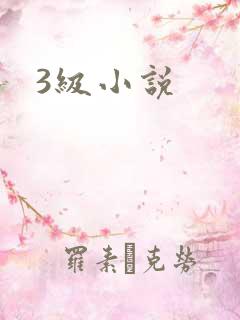 3级小说
