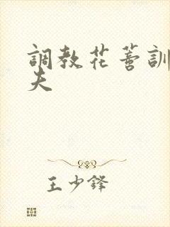 调教花蒂训诫从夫