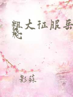 粗大征服岳女双飞