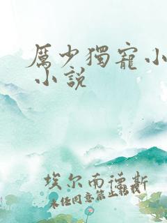 厉少独宠小娇妻 小说