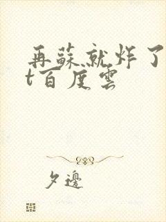 再苏就炸了txt百度云