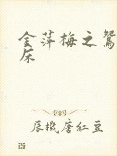 金萍梅之鸳鸯铣床