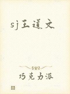 sj王道文
