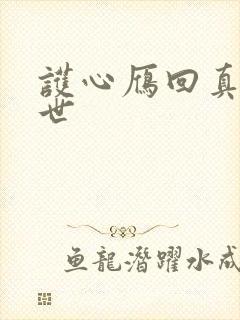 护心雁回真实身世