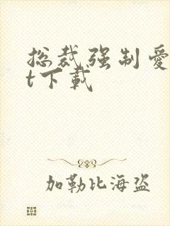 总裁强制爱txt下载