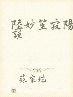 陆妙笙寂阳朔小说