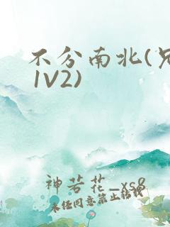 不分南北(兄弟 1V2)