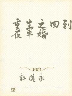 重生之回到新婚夜军婚