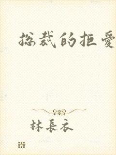 总裁的拒爱前妻