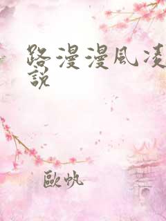 路漫漫风凌轩小说